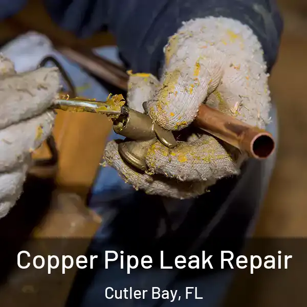  Copper Pipe Leak Repair Cutler Bay, FL