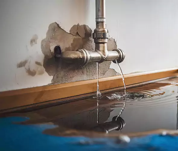 Professional Water Damage Restoration Experts in Cutler Bay, FL — Fast, Reliable & Certified