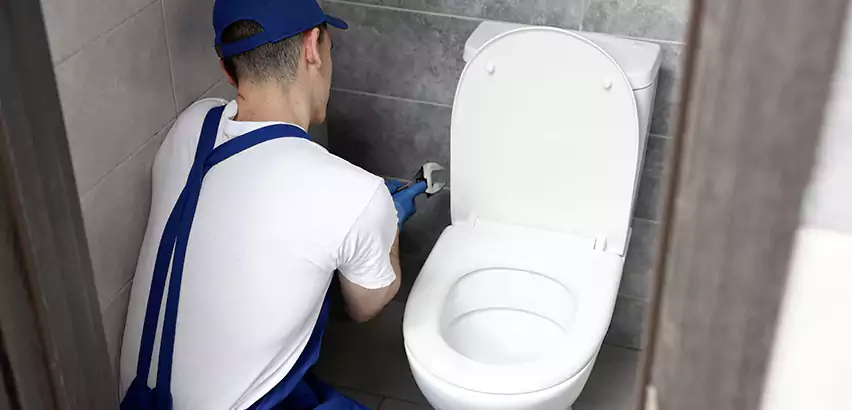 Toilet Lid Replacement in Cutler Bay