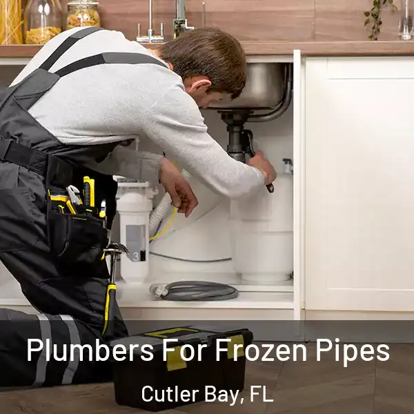  Plumbers For Frozen Pipes Cutler Bay, FL
