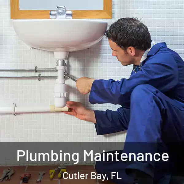  Plumbing Maintenance Cutler Bay, FL