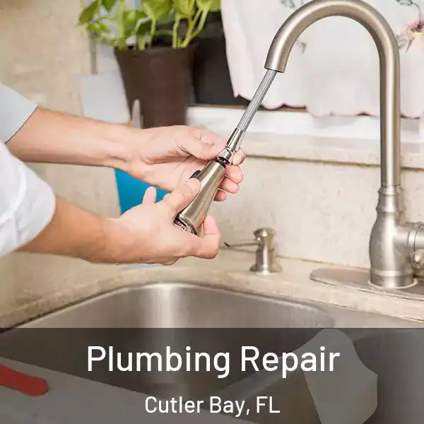  Plumbing Repair Cutler Bay, FL