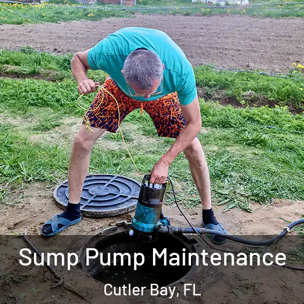  Sump Pump Maintenance Cutler Bay, FL