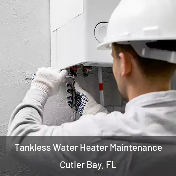  Tankless Water Heater Maintenance Cutler Bay, FL