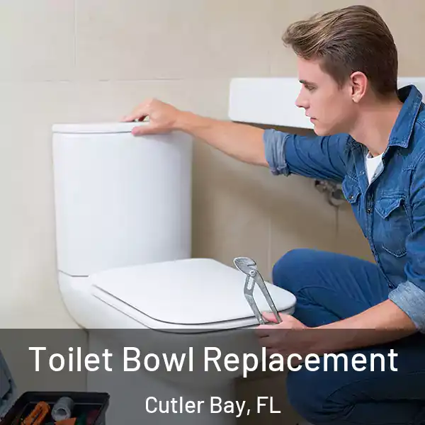  Toilet Bowl Replacement Cutler Bay, FL