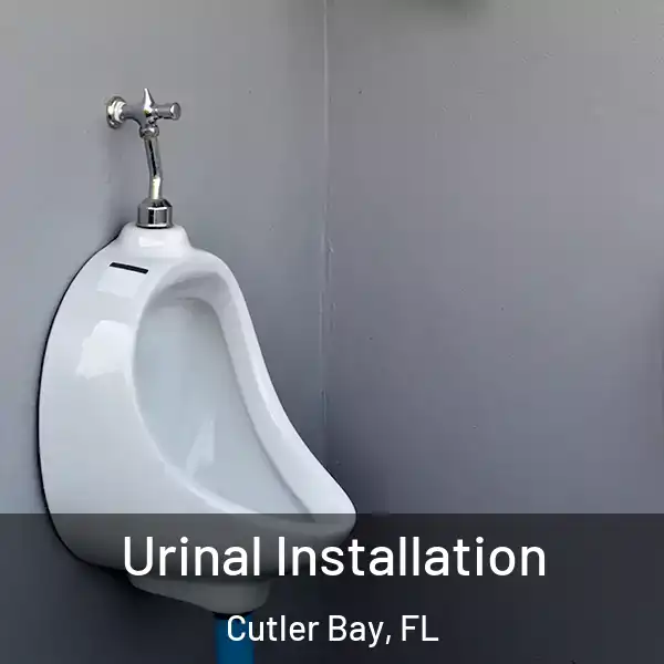  Urinal Installation Cutler Bay, FL