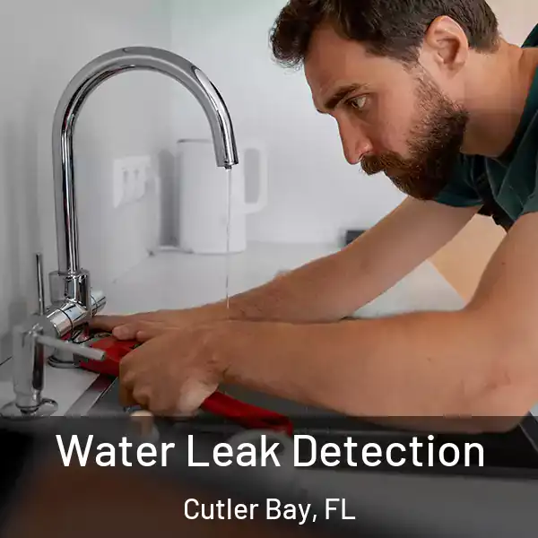  Water Leak Detection Cutler Bay, FL
